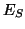 $ E_{S}$