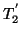 $ T_{2}^{'}$