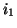$ i_{1}$