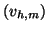 $ (v_{h,m})$